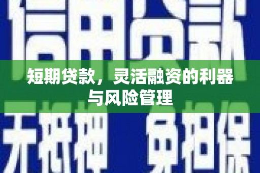 旬邑短期贷款，灵活融资的利器与风险管理