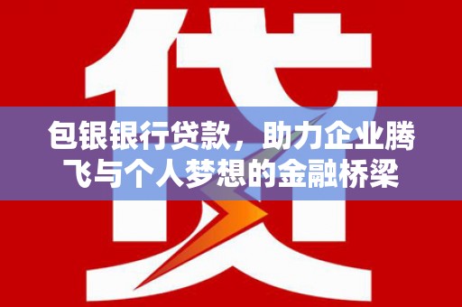 台西包银银行贷款，助力企业腾飞与个人梦想的金融桥梁