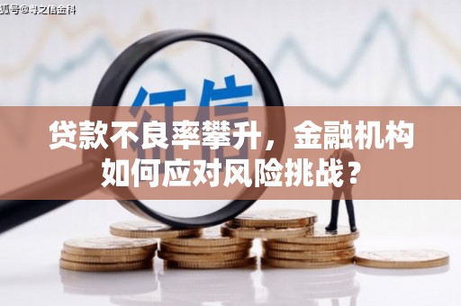 汶川贷款不良率攀升，金融机构如何应对风险挑战？