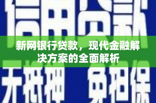 大城新网银行贷款，现代金融解决方案的全面解析