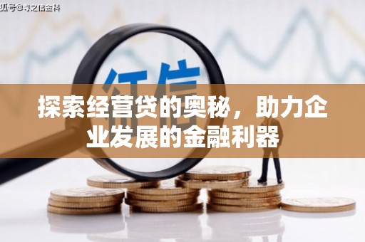 洋县探索经营贷的奥秘，助力企业发展的金融利器