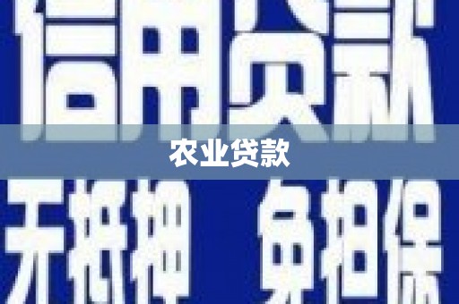 东源农业贷款