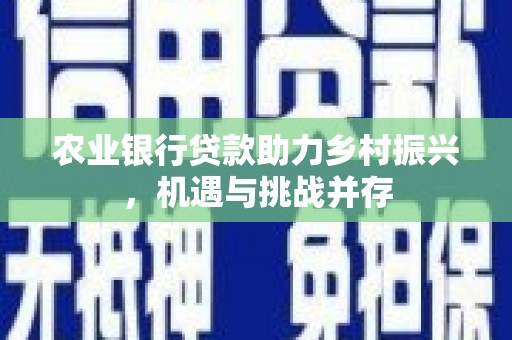 九寨沟农业银行贷款助力乡村振兴，机遇与挑战并存