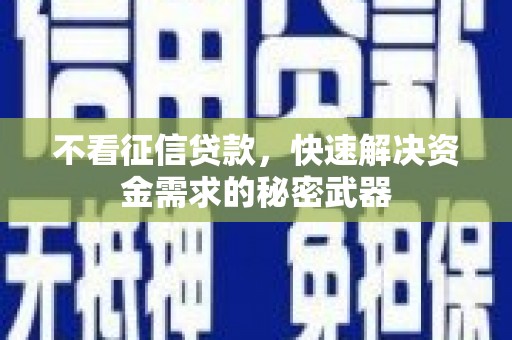 昭苏不看征信贷款，快速解决资金需求的秘密武器