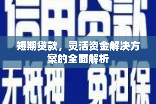 虾峙短期贷款，灵活资金解决方案的全面解析