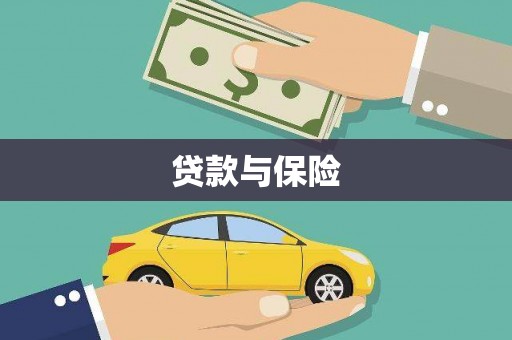 全南贷款与保险