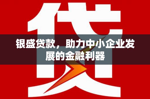 澄城银盛贷款，助力中小企业发展的金融利器
