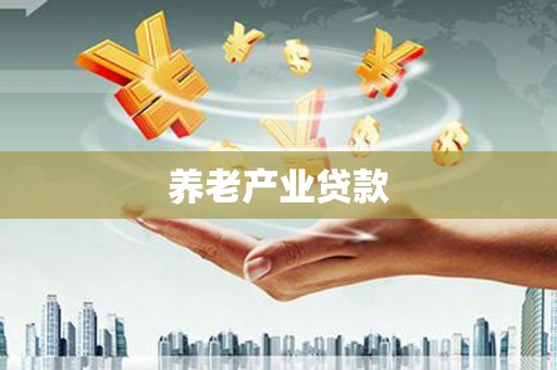 恒山养老产业贷款