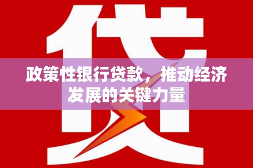 贺兰政策性银行贷款，推动经济发展的关键力量