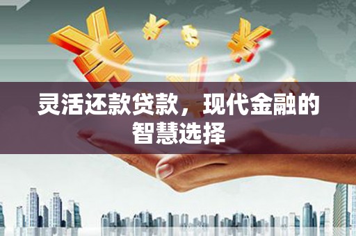 囊谦灵活还款贷款，现代金融的智慧选择