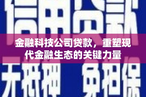 三乡金融科技公司贷款，重塑现代金融生态的关键力量