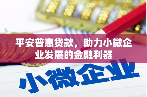 海安平安普惠贷款，助力小微企业发展的金融利器