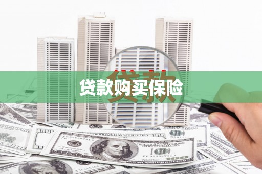 庄浪贷款购买保险