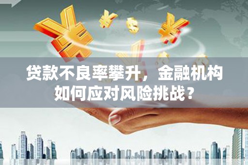 博湖贷款不良率攀升，金融机构如何应对风险挑战？