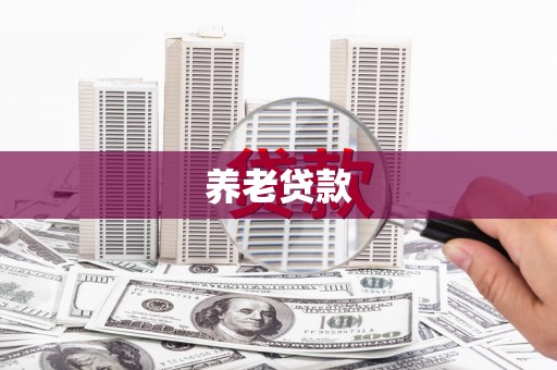 成功养老贷款