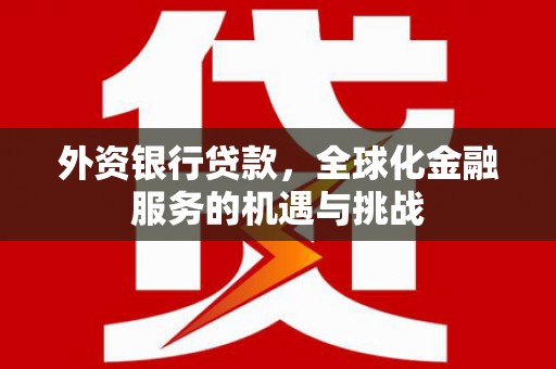 达坂城外资银行贷款，全球化金融服务的机遇与挑战