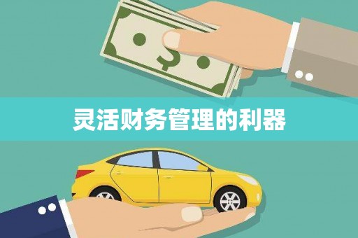 石排灵活财务管理的利器