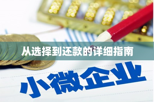 瑞芳从选择到还款的详细指南