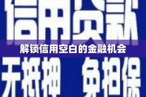 武威解锁信用空白的金融机会