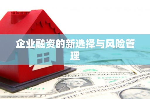 定海企业融资的新选择与风险管理
