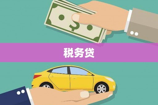 利州税务贷